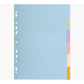 Exacompta Forever Recycled Coloured 6 Part Dividers A4