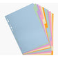 Exacompta Forever Recycled Coloured 12 Part Dividers A4